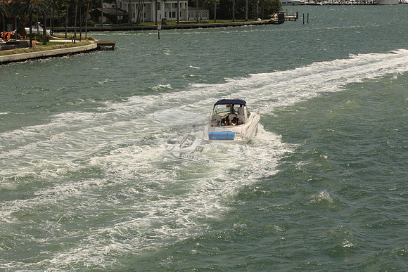 BELLA VITA.SARASOTA FL.2667