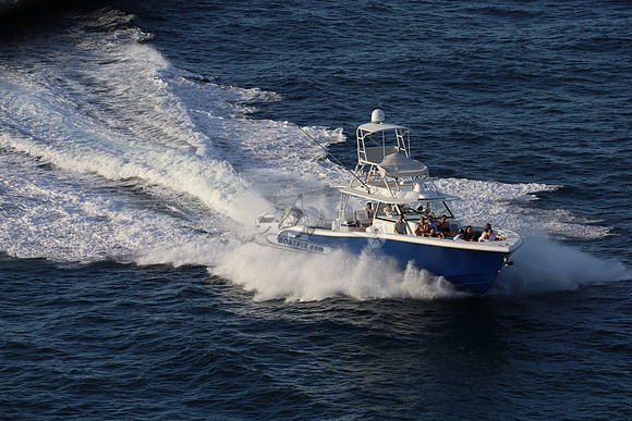 alegrias.bay harb.yellowfin.13