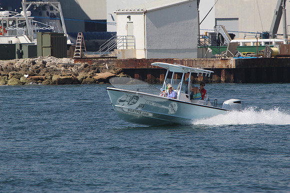 FL6645TS.201
