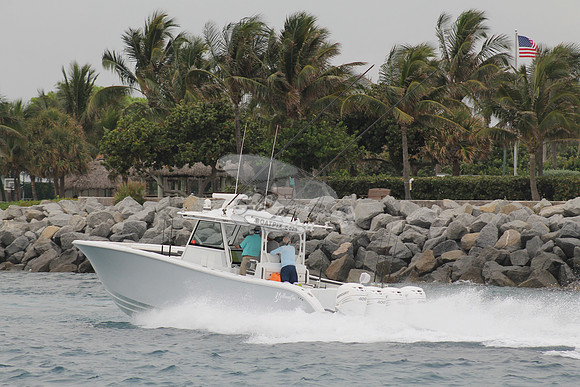 CRY..YELLOWFIN.11