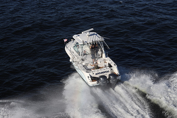 ACCI-DENTAL.JAX FL.ROBALO.04