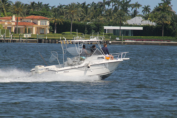 ANGLER.15