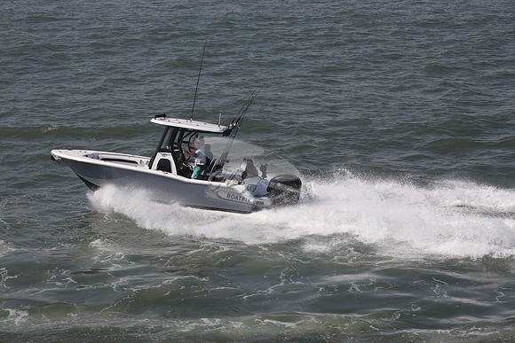 TIDEWATER.GRAY HULL.7039