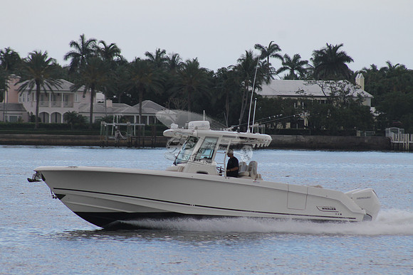 BOSTON WHALER.04