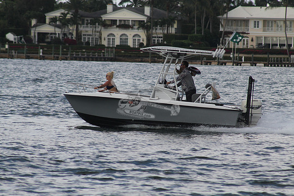 FL1184GL.09