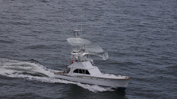 ballie who iii.islamorada fl.9529