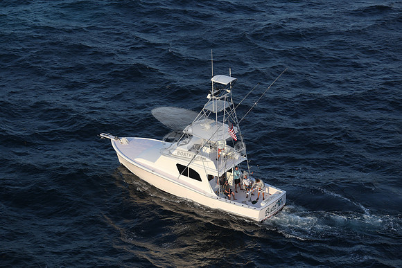 BUZZ ON.ISLAMORADA FL.14