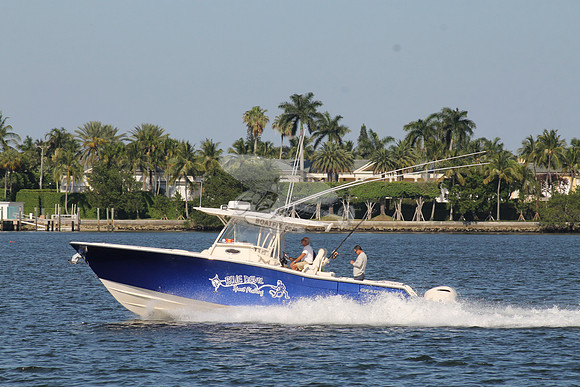 BLUE DEVIL.OCEAN RIDGE FL.GRADY WHITE.10