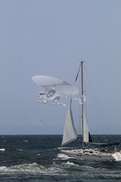 DAFFY.FL..SAIL.07