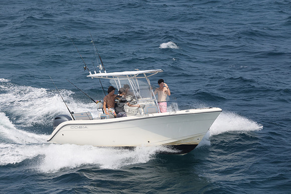 COBIA.WHITE.21