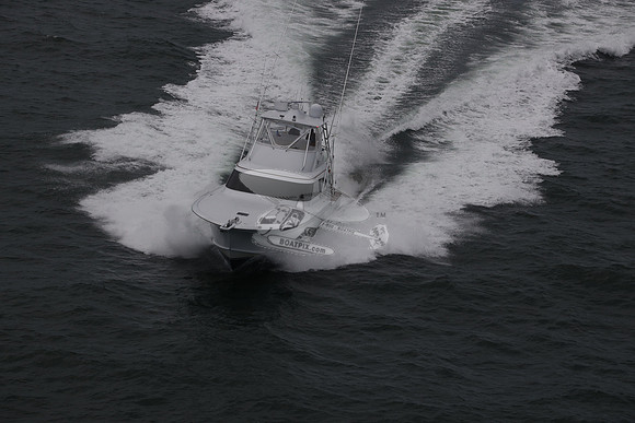 back n down.stuart.42