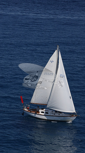 25529.AL0021RS.11