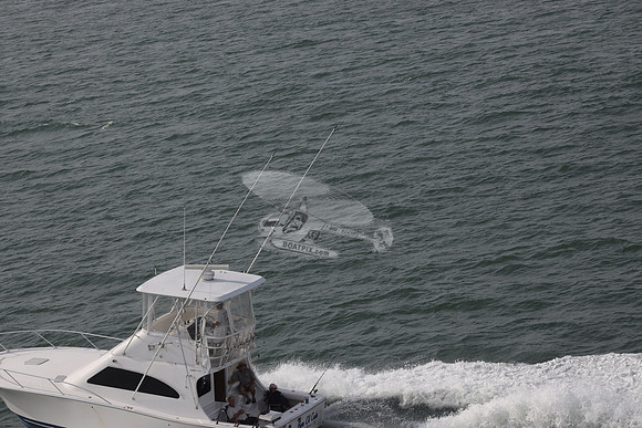 BARE OL CUDA.INDIAN RIVER DE.LUHRS.04