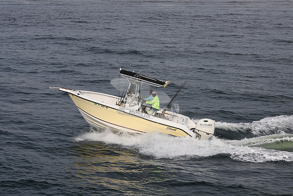 FL1588NU.10