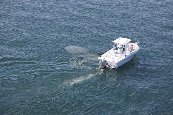 ga0368un.6505
