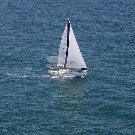 422.FL8313SN..SPIRIT OF THE WIND.29