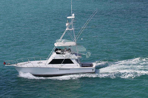 bad habit.islamorada fl.5739