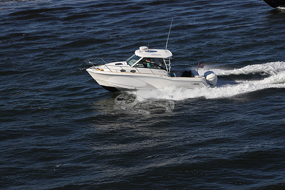 BOSTON WHALER31.4401