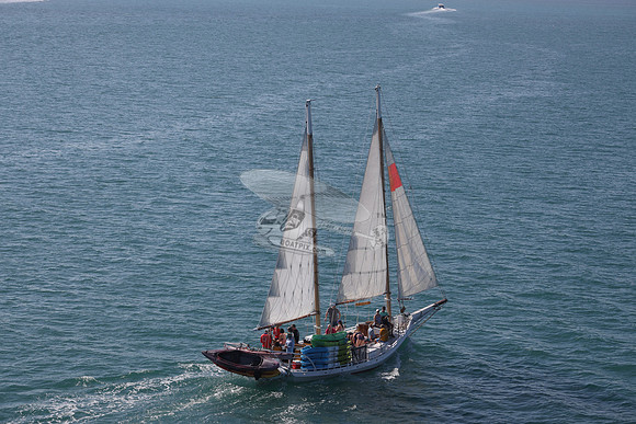 00000.3 sails.8281