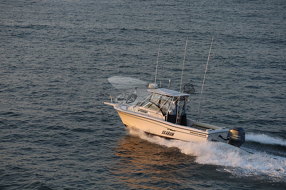 dl5059ac.seabum.8795
