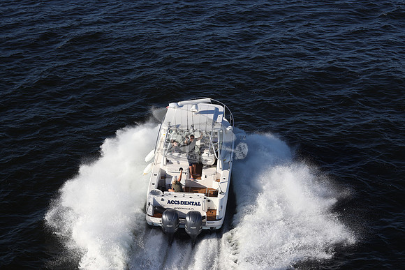 ACCI-DENTAL.JAX FL.ROBALO.01