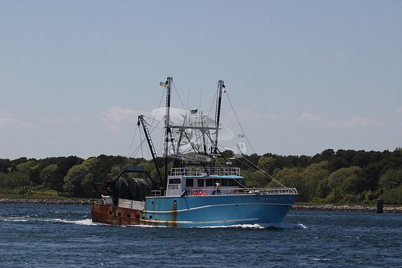 1113613.SOPHIA C.NEW BEDFORD MA.2