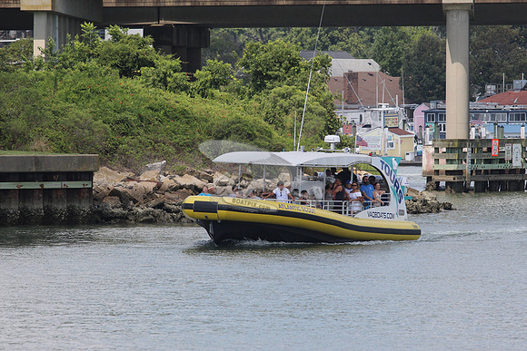 atlantic scout.8615