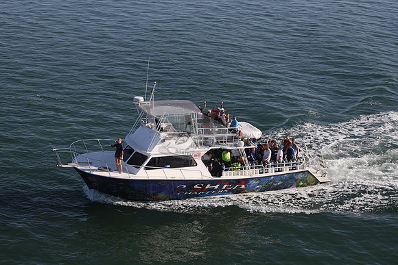 2 shea charters.clearwater fl.0195