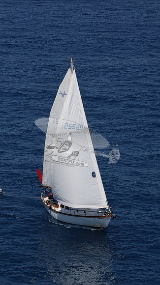 25529.AL0021RS.21
