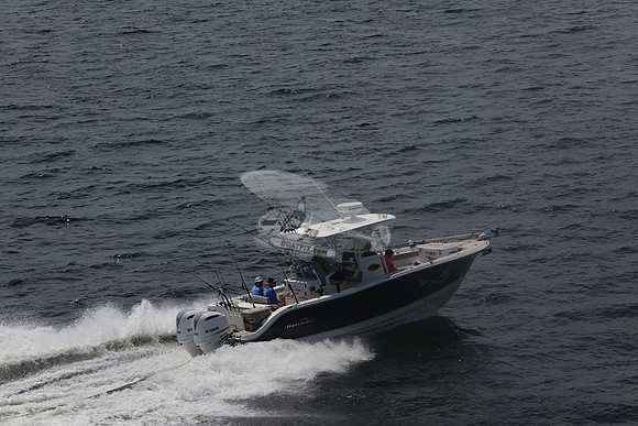 fl1751sn.08