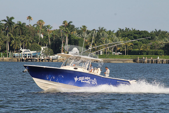 BLUE DEVIL.OCEAN RIDGE FL.GRADY WHITE.05