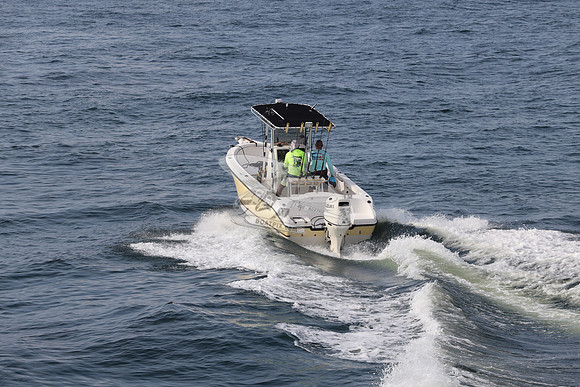 FL1588NU.02