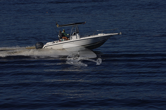 fl0031lc.13