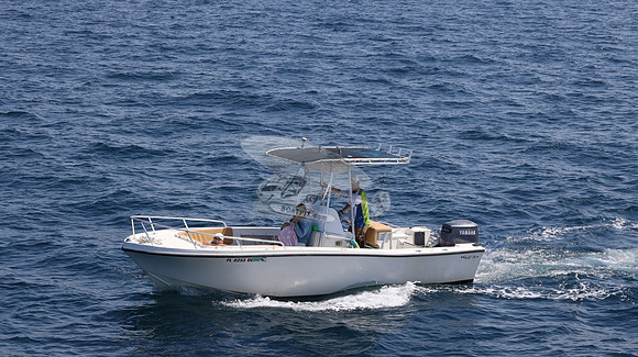 FL0253DE.15