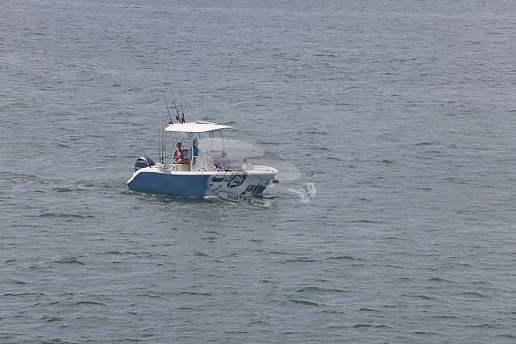 cobia.one yamaha.09