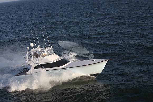 blue runner.manasquan.9269