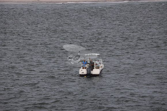 COBIA.5