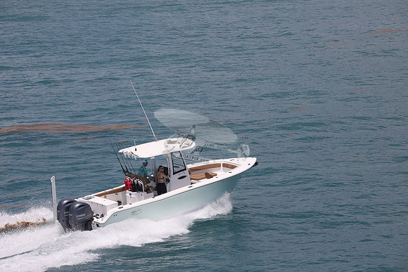 fl1853sl.sea hunt.green 2 yamah.07