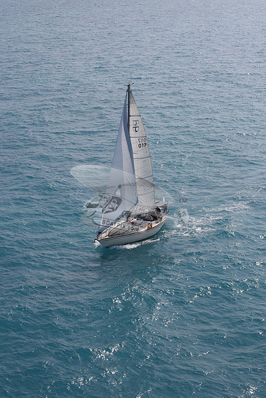 017.floren c.3889
