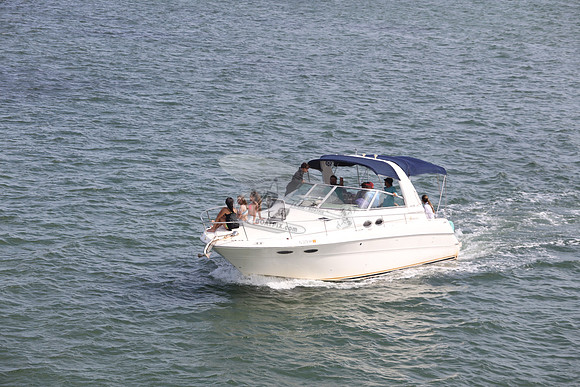 fl0378nh.stargazer.7142