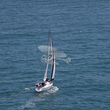 422.FL8313SN..SPIRIT OF THE WIND.08