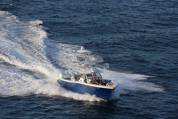 alegrias.bay harb.yellowfin.12
