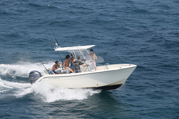 COBIA.WHITE.16