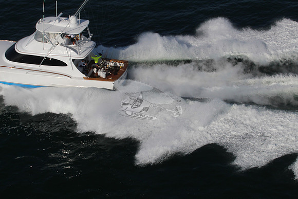 Billfisher.ocean city.16