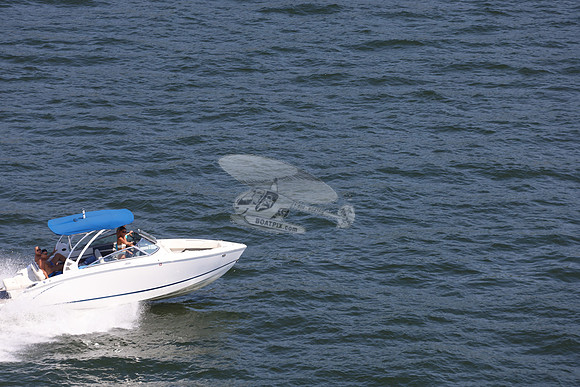 cobalt.bowrider.white blue.12