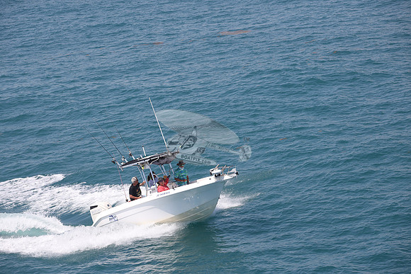 fl1436ka.09