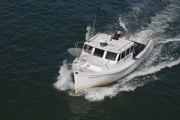947819.CYGNET.GREEN HARBOR MA.02