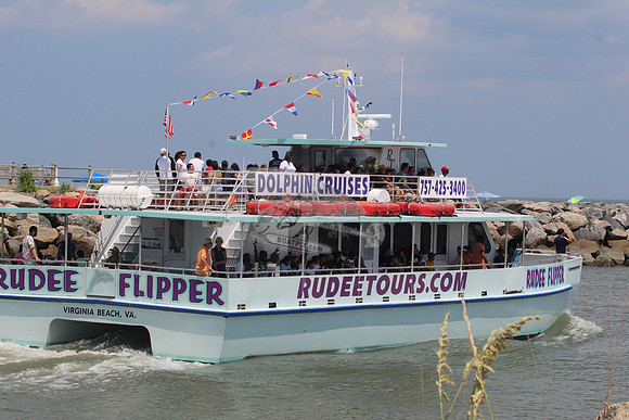 rudee flipper.virginia beach va.8846