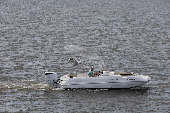 fl6534sp.uptown girl.7154