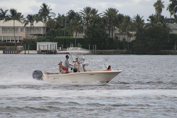 FL0786SX.803